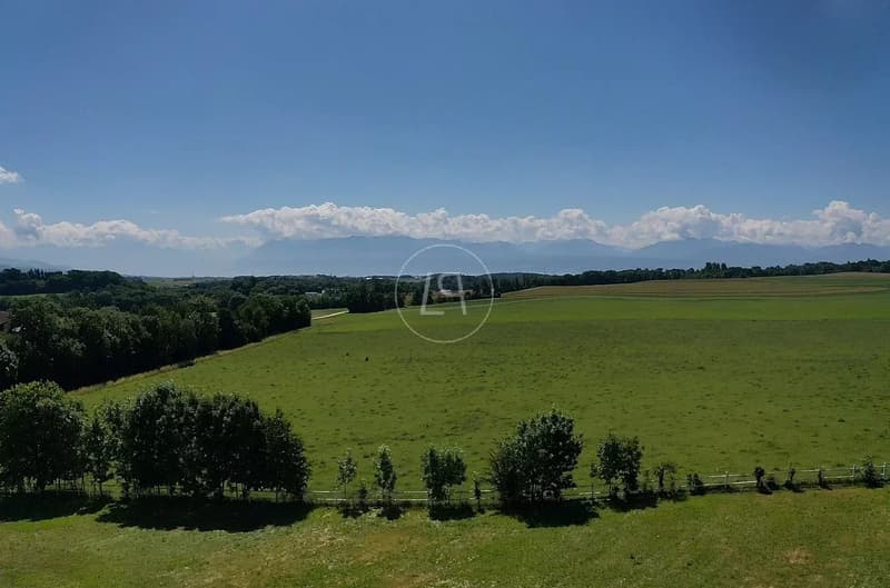 Stunning property nestled in a park with a pool near Morges (11)