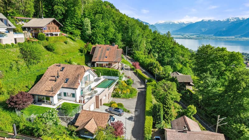Bella proprietà familiare con vista sul lago e piscina a Blonay (2)