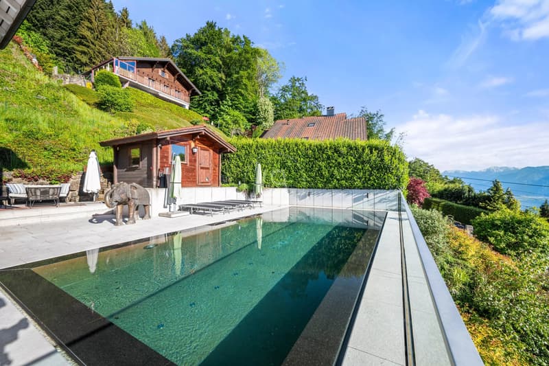 Bella proprietà familiare con vista sul lago e piscina a Blonay (7)