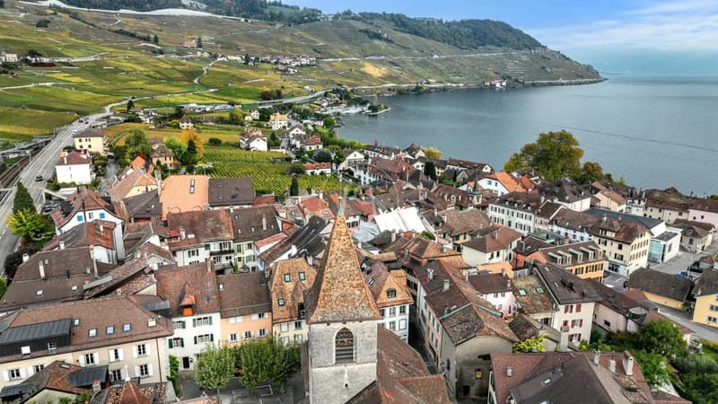 Incantevole casa di villaggio vicino al lago a Cully (2)
