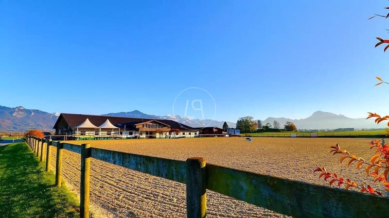 Seltenes Reitgut, 20 Minuten von Vevey (2)