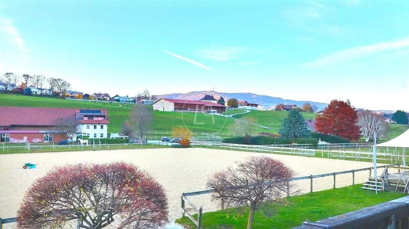 Seltenes Reitgut, 20 Minuten von Vevey (10)