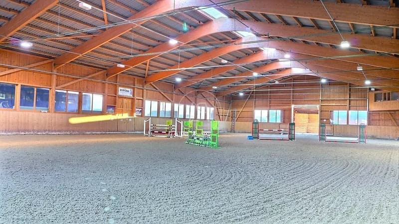 Seltenes Reitgut, 20 Minuten von Vevey (5)