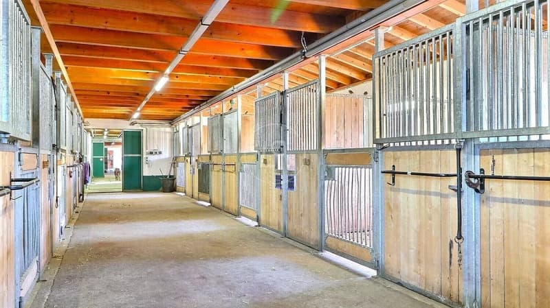 Seltenes Reitgut, 20 Minuten von Vevey (7)