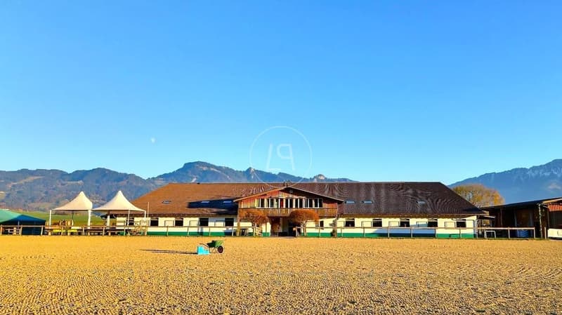 Seltenes Reitgut, 20 Minuten von Vevey (3)