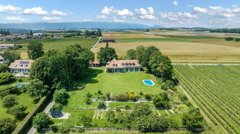 Sehr schönes Familienanwesen im Herzen der Weinberge mit Swimmingpool in Etoy (4)