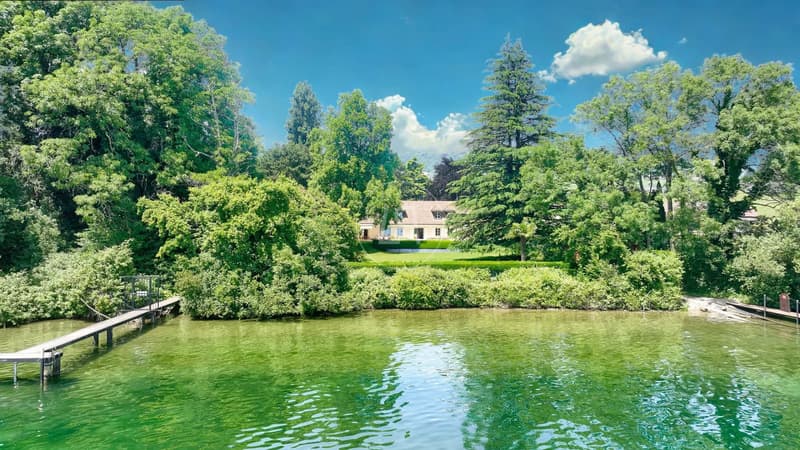 Elegantes Wasserfront-Eigentum am Lake Shore (5)