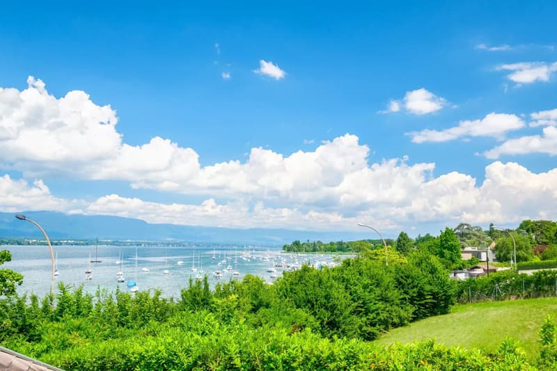 Villa di prima fila sul lago a Cologny eccezionale (3)