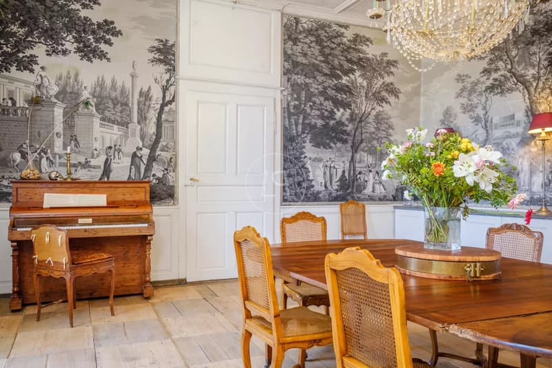 Historisches Schloss aus dem 18. Jahrhundert, 15.000 m2 Park, zwischen Lausanne und Nyon (12)
