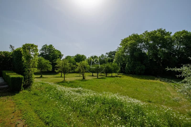 Historisches Schloss aus dem 18. Jahrhundert, 15.000 m2 Park, zwischen Lausanne und Nyon (6)