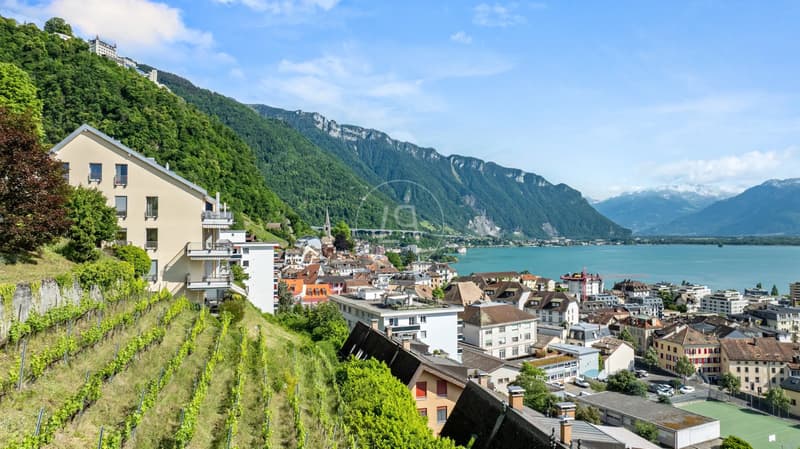 Superbe Apartment mit Panoramablick in Montreux (2)