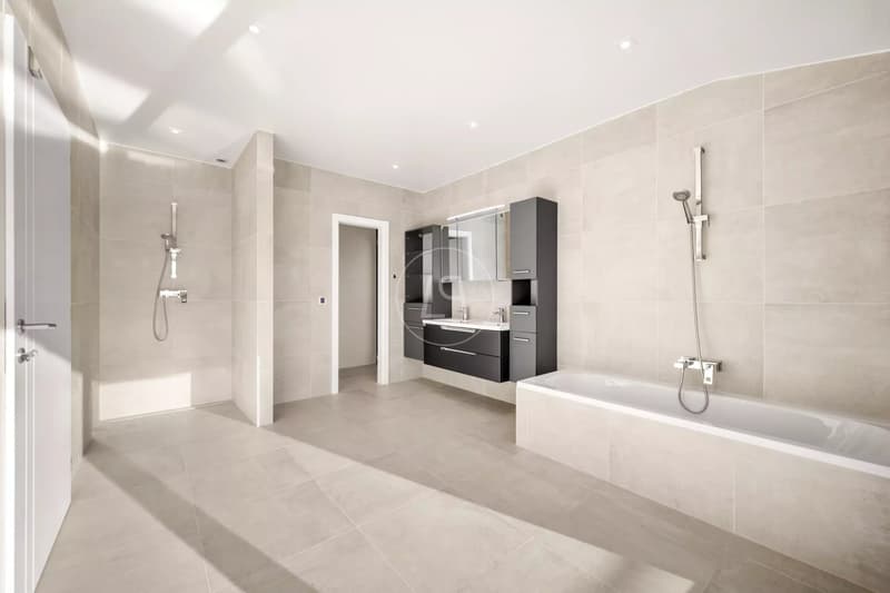 Villa für Autocollectoren mit SPA und Indoor-Pool (12)