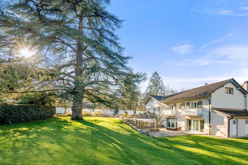 Belle maison de famille dans un emplacement stratégique, Versoix (2)