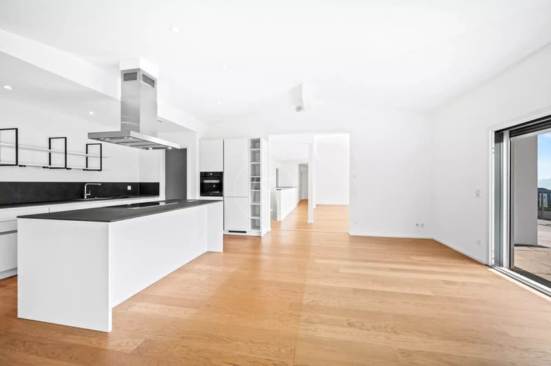 Villa contemporaine clé en main avec vue 180 degrés - Arzier-le-Muids (7)