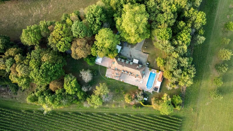 Charming residence in the heart of the Geneva countryside, left bank (5)