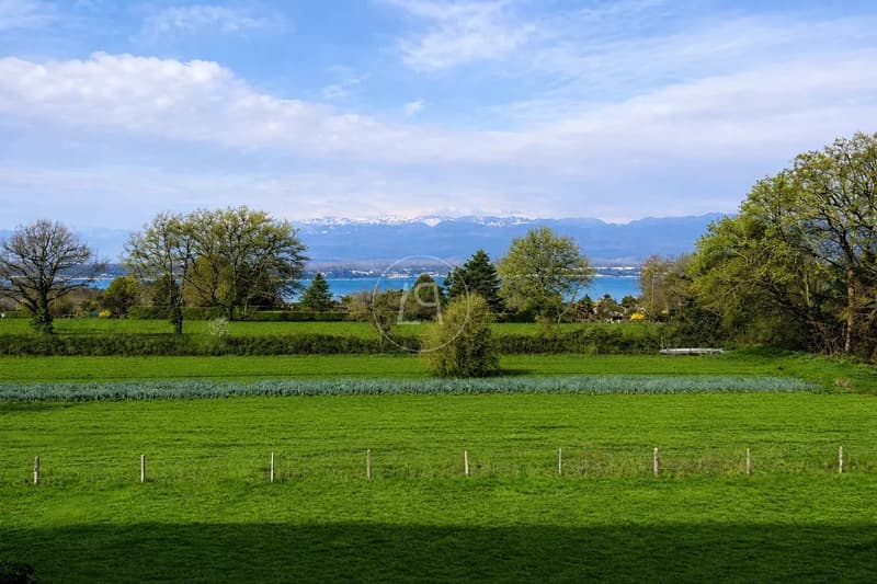 Superbe duplex de 328 m2 avec jardins et vue lac au coeur de Corsier (2)