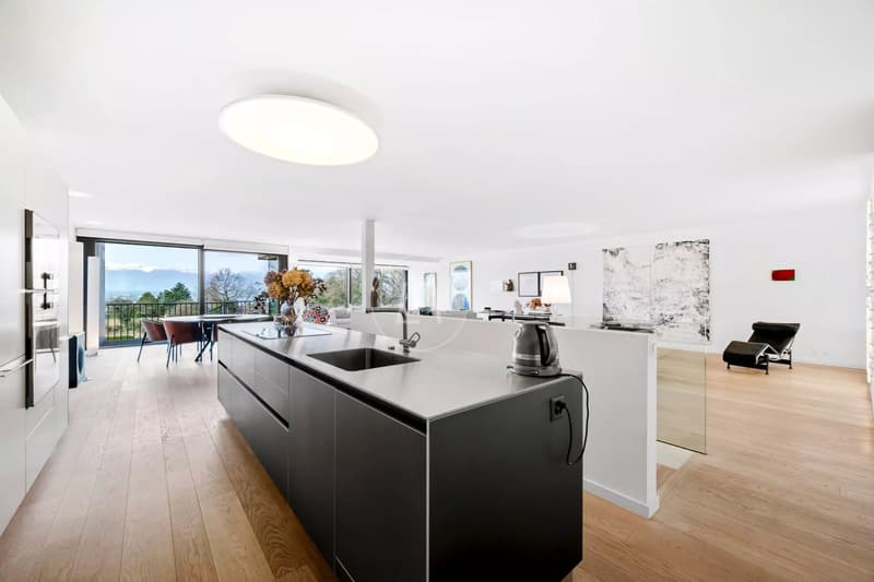Superbe 328 m2 Doppelhaushälfte mit Gärten und Seeblick im Herzen von Corsier (8)