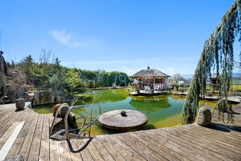Country side property with high potential and profitability (3)