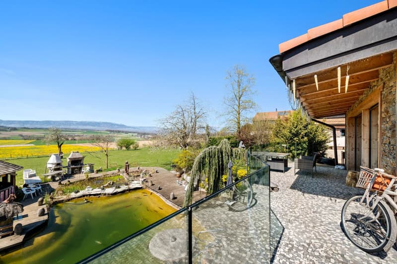 Country side property with high potential and profitability (9)