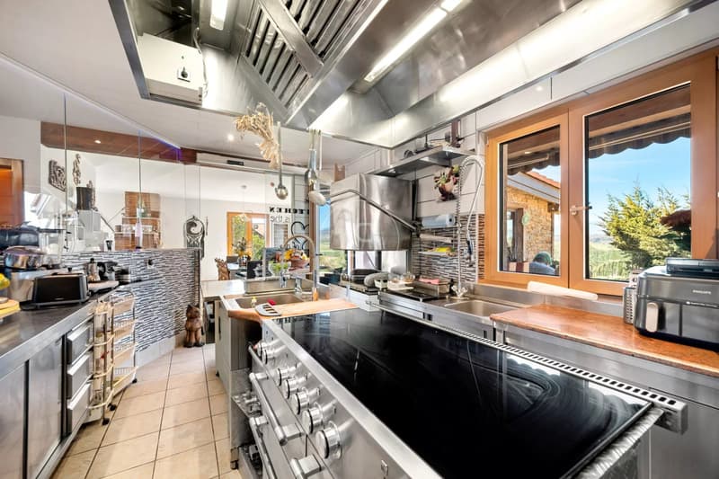 Daillens - Exceptional estate with indoor pool, guesthouse, and park of over 6,000 m² (9)