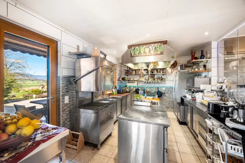 Daillens - Exceptional estate with indoor pool, guesthouse, and park of over 6,000 m² (10)
