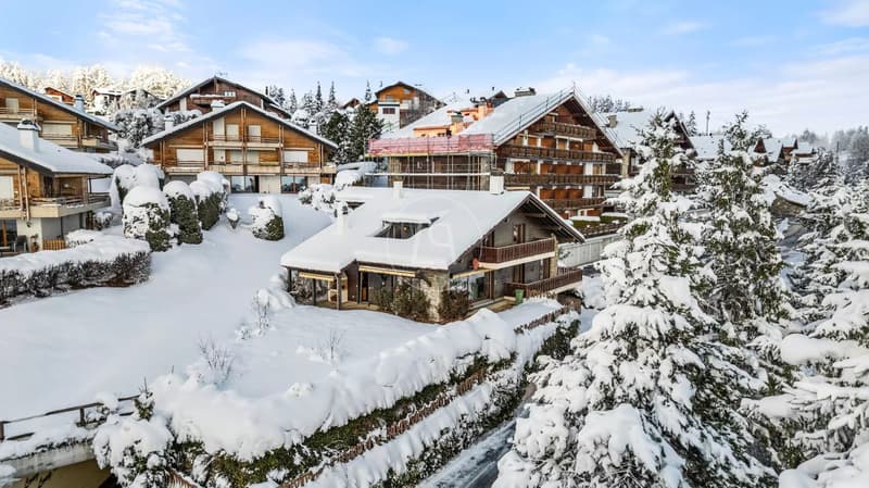 Chalet mit Alpenblick und außergewöhnlichem Potenzial (3)