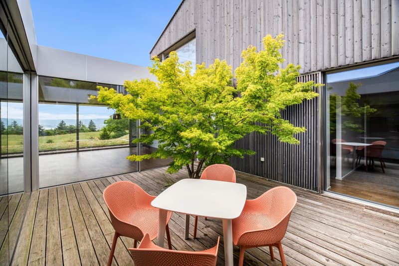 Apartment in Aran - Eine Kunst des Wohnens zwischen Weinbergen, Landschaft und See (3)