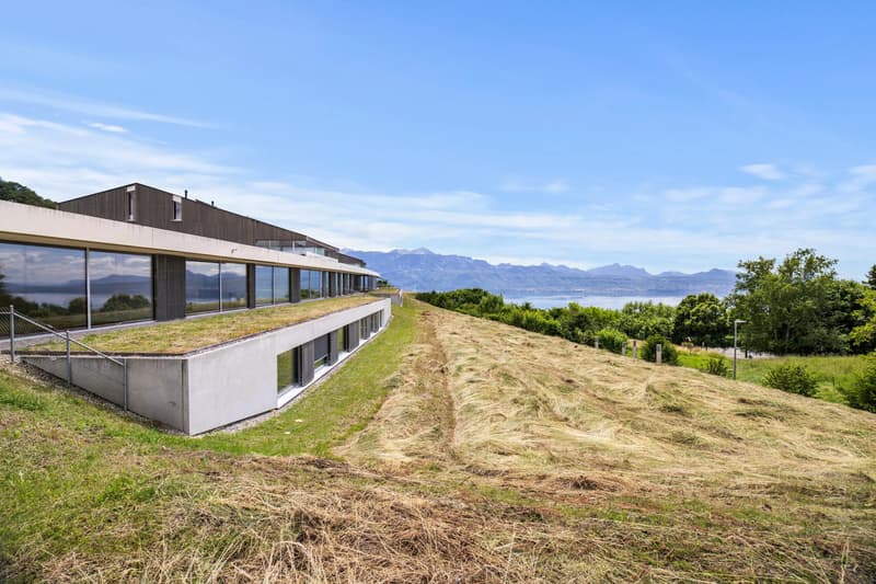 Très bel appartement clé en main, superbe vue sur le lac - Bourg en Lavaux (1)