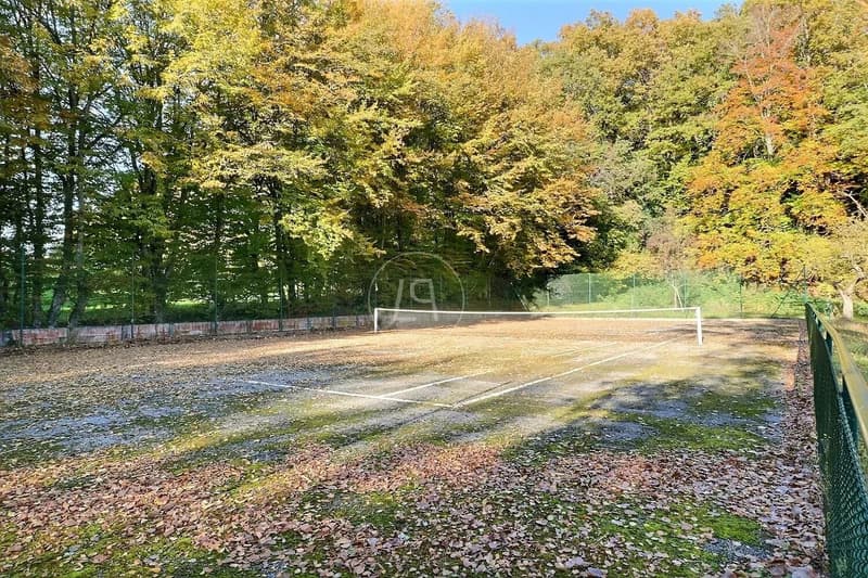 Bella proprietà familiare con tennis e vista sul lago, vicino a Morges (13)