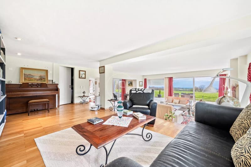 Bella proprietà familiare con tennis e vista sul lago, vicino a Morges (6)