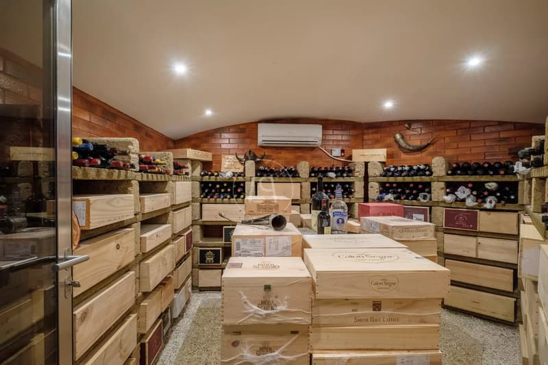 Propriété conçue par un architecte, privée et sans nuisance, Conches (GE) (11)