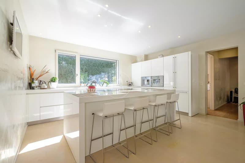 Propriété conçue par un architecte, privée et sans nuisance, Conches (GE) (4)