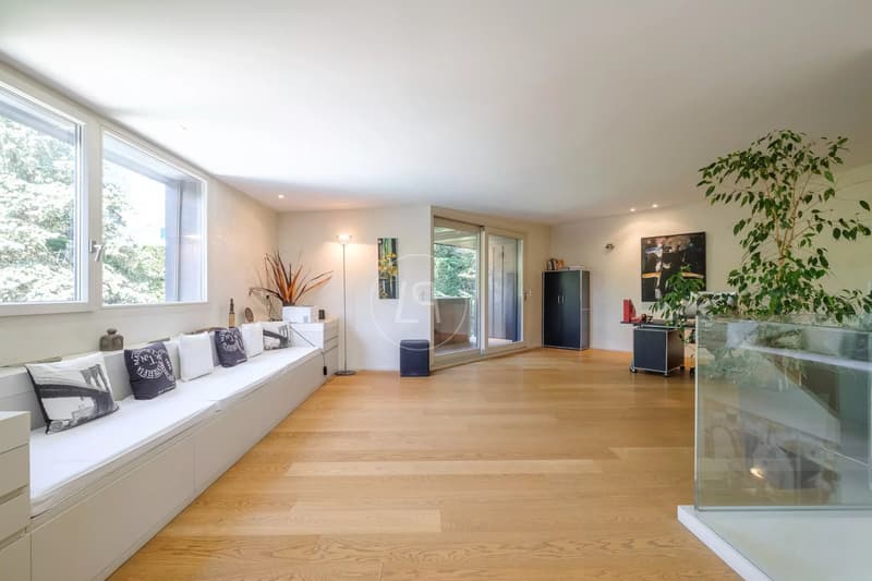 Propriété conçue par un architecte, privée et sans nuisance, Conches (GE) (7)