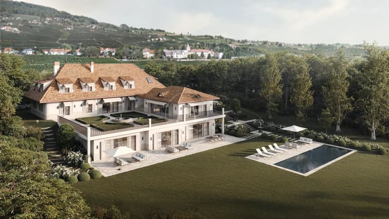 Projet, propriété au bord de l'eau à rénover, région de Rolle (4)