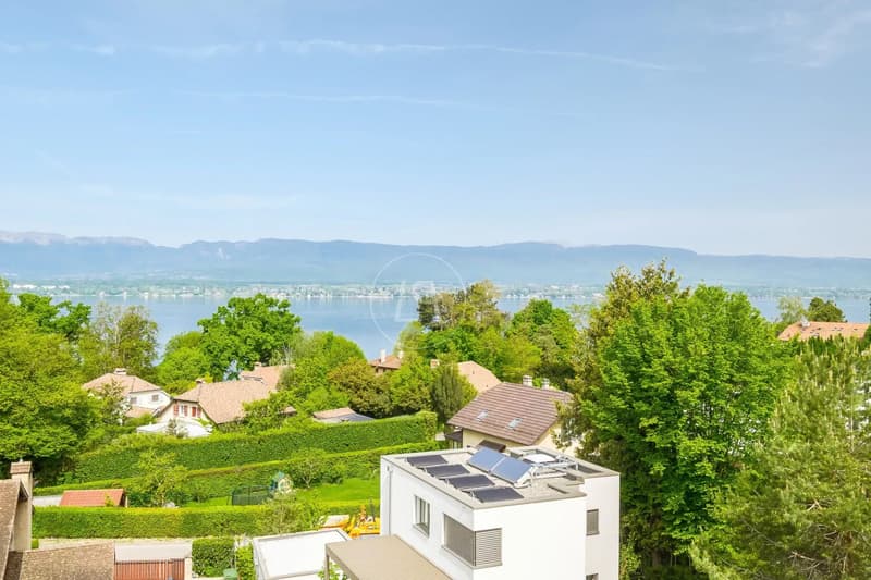 Unique architect-designed villa, lake view, spa, pool, , Left Bank (2)