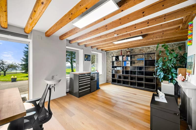 Un domaine à réinventer en une résidence privée exceptionnelle, aux portes de Genève (5)