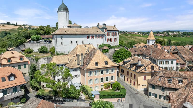 Historisches Anwesen im Herzen von Aubonne (1)