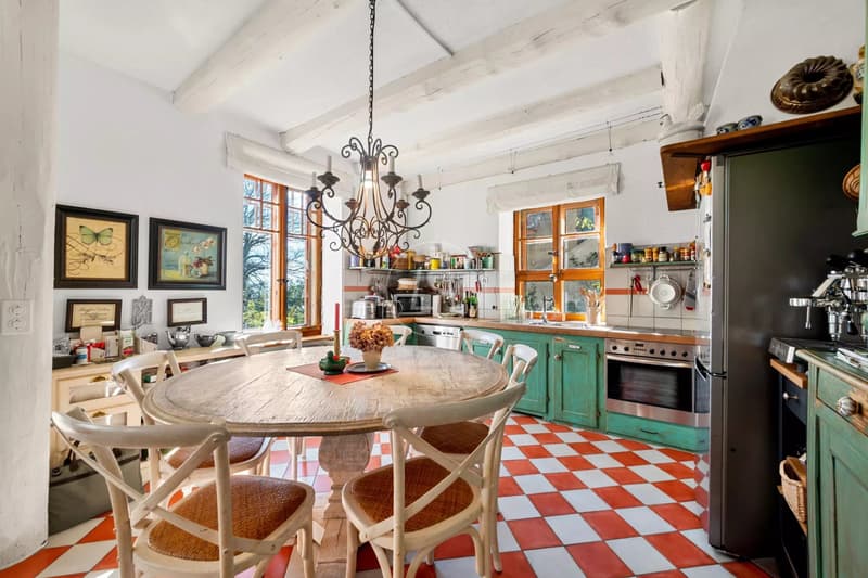 Essertine-sur-Rolle - Hauptwohnhaus mit Charme und Ruhe (5)