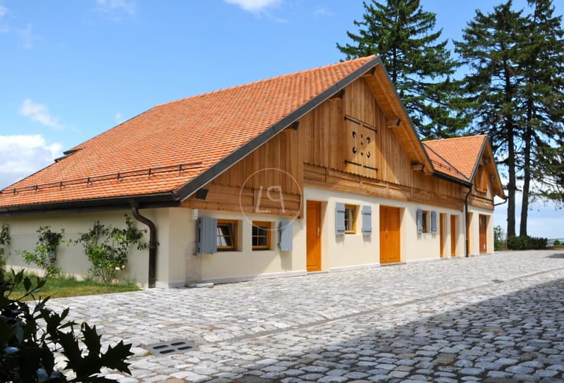 Elegantes renoviertes Bauernhaus mit Pool, Essertines-sur-Rolle (10)
