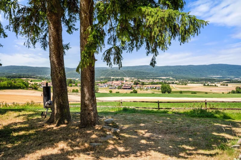 Elegantes renoviertes Bauernhaus mit Pool, Essertines-sur-Rolle (11)