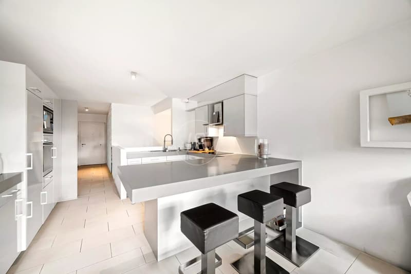 Bel appartement clé en main avec terrasse et jardin au coeur de Pully (3)