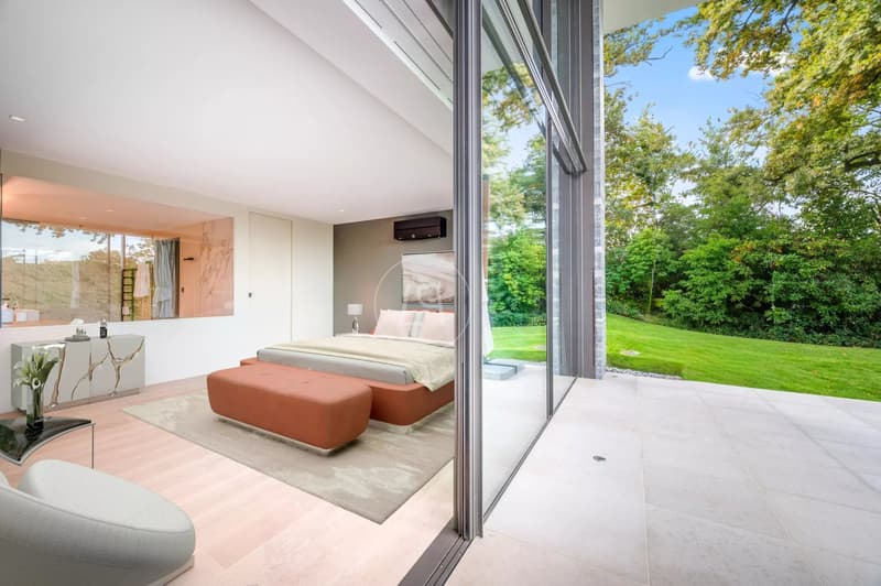 Villa contemporaine d'exception, vue et accès privé au lac,rive gauche (8)