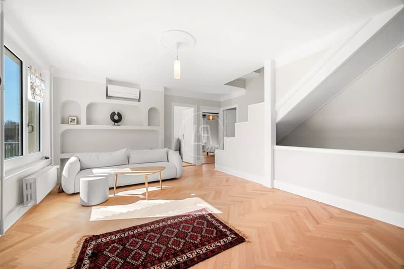 Superbe propriété rénovée du début du siècle au coeur de Nyon (13)