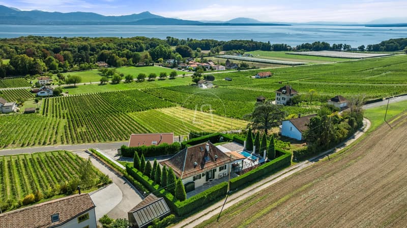 Propriété de charme avec vue panoramique à Allaman (1)