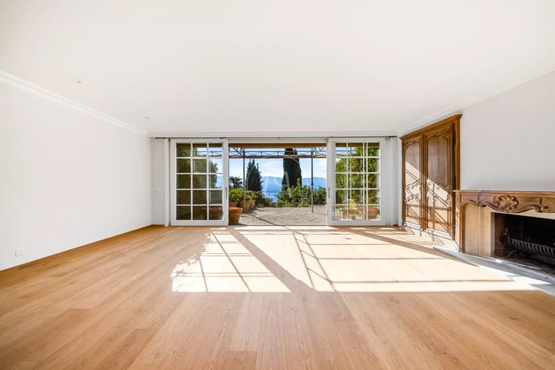 Un écrin avec vue panoramique sur le Léman (3)
