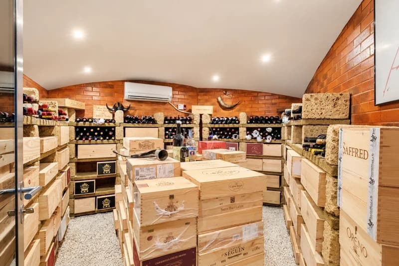 Propriété d'architecte très privative et sans nuisance, Conches (GE) (11)