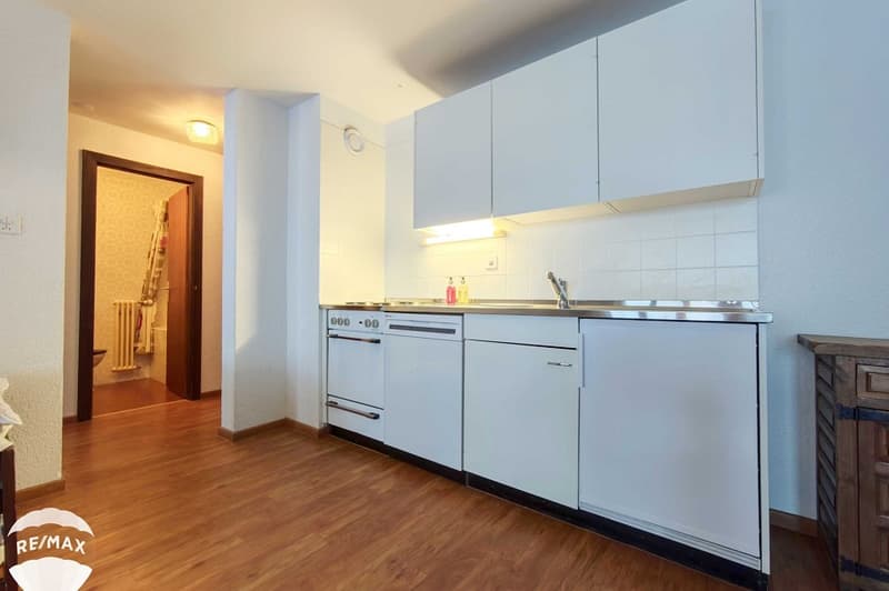 Apartment with 2.5 rooms, swimming pool and large carnotzet (8)