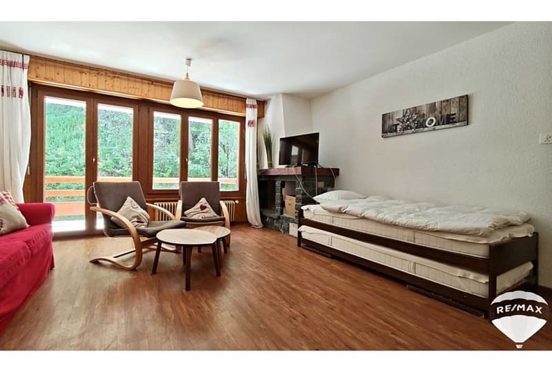 Apartment with 2.5 rooms, swimming pool and large carnotzet (5)