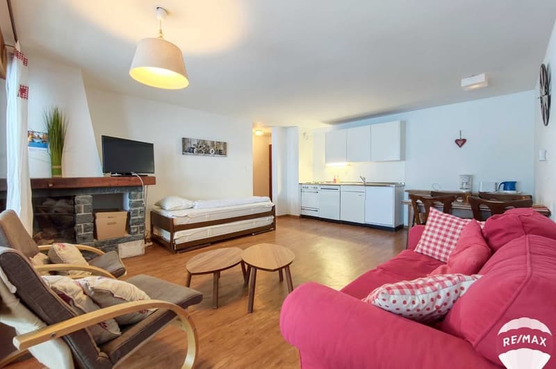 Apartment with 2.5 rooms, swimming pool and large carnotzet (6)