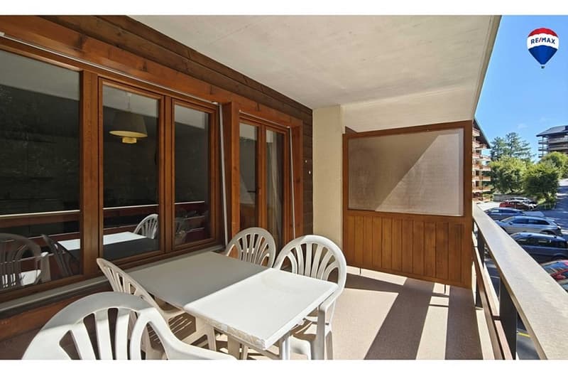 Apartment with 2.5 rooms, swimming pool and large carnotzet (13)